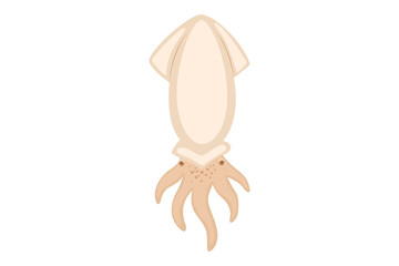 Cute Cartoon Animal