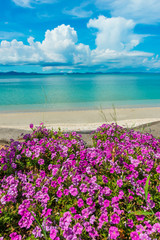 花と沖縄の海