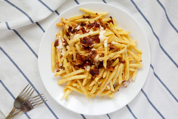 French fries with cheese sauce and bacon on a white plate, top view. Flat lay, from above, overhead. Close-up.