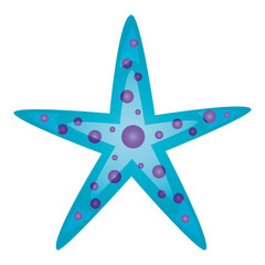 Fototapeta premium starfish wildlife on white background