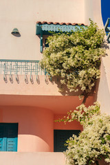 Facade of the house with white blooming bougainvillea