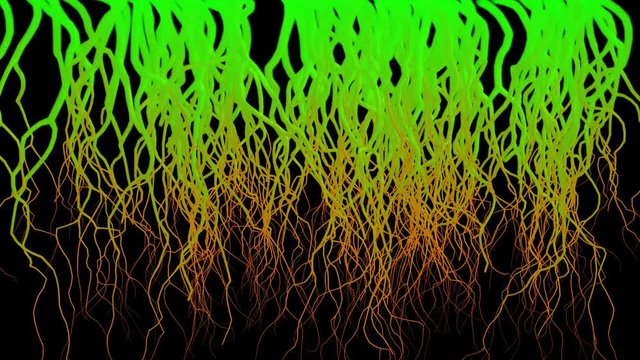 Fractal growth. Roots spreading accross screen . 3d animation