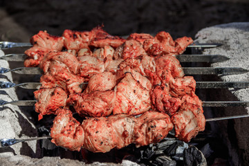 pork shish kebab on skewers. marinated meat. meat kebab. skewers on skewers. cooking on fire.