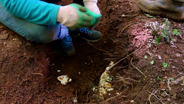 Young apprentice learnig how to drill rocks with a hammer and a driller.  Close up of man crushing rocks  in his garden.