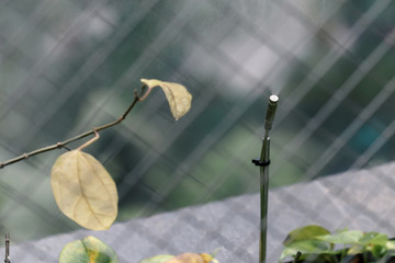 automatic spray nozzle in modern garden, shallow depth of field