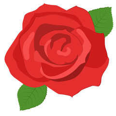 rose