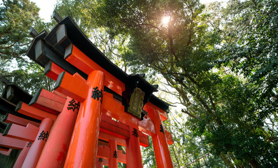 Red Torii gates in Fushimi Inari Taisha
