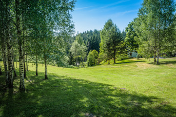 Beautiful nature landscape with green lawns. Deciduous forest in the background. Latvia. Baltic.