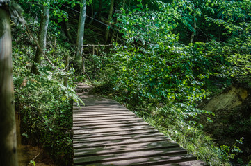 Obraz premium A wooden bridge over the river in a beautiful green forest scenery. Cirulisi nature trails. Latvia. Baltic.