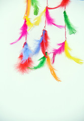 Fototapeta na wymiar COLORFUL FEATHER ISOLATED. Pattern with hand made feathers. Feather isolated on white background