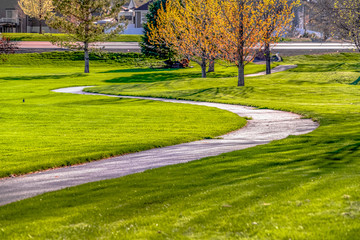 Grassy terrain with a curving pathway that leads to the road in front of houses
