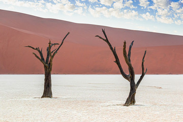 Deadvlei im Namib-Naukluft-Nationalpark, Namibia