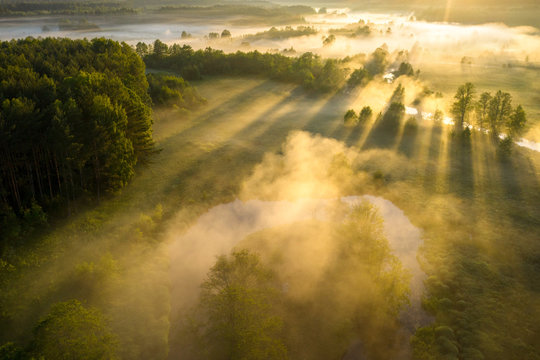 Fototapeta Scenic summer background. Sunbeams on river nature aerial view. Scenery sunny landscape. Amazing bright sunlight over river. Sun rays on green misty meadow