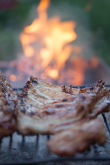 Grilled barbeque port. Cooking outdoor. Marinated grilled ribs. Summer picnic. Cooking dinner. Spareribs Ribs Close-up On The Hot Flaming Grill.