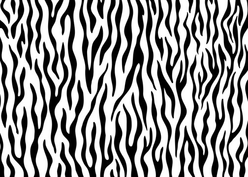 Zebra skin pattern design. Animal print vector illustration background. Wildlife fur skin design illustration. For web, home decor, fashion, surface, graphic design