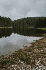 landscape with lake and forest