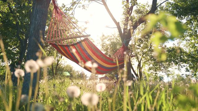 Colorful hammock stretched between trees in a garden. Multi-colored striped hammock hanging in the garden between the trees.
