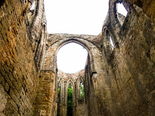 Fototapeta premium OLYMPUS DIGITAL CAMERA