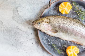 Raw trout fish on the tray with ice with rosemary and lemon over stone light background , top view