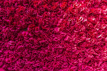 Tightly arranged red petal shading