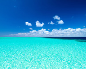 tropical Maldives island with white sandy beach and sea