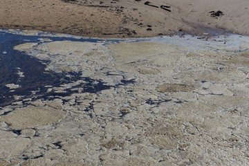 Fototapeta na wymiar Old stale sea foam on a coastal lagoon water surface