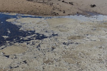 Old stale sea foam on a coastal lagoon water surface