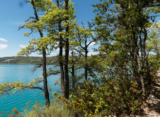 Fototapeta na wymiar Paysage d'eau bleue turquoise du lac de Sainte-Croix au pied des gorges du Verdon depuis les berges de Bauduen. Alpes-de-Haute-Provence
