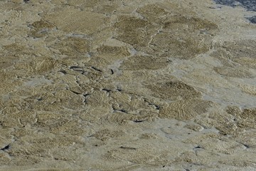 footprints in the sand