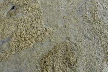 texture of old wall