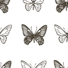 Butterflies silhouettes. Butterfly icons isolated on white background. Graphic illustration. Seamless patterns.