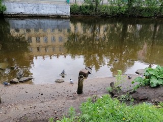 reflection of houses and trees on the river in St. Petersburg 