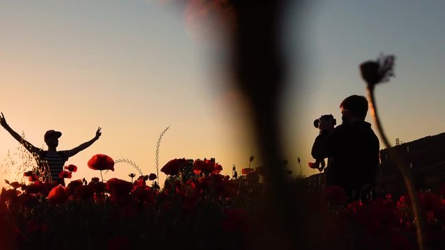 Silhouette di un fotografo uomo in mezzo a un campo di fiori rossi al tramonto. video al rallentatore.