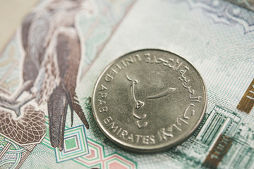 Close up of United Arab Emirates (AED) money currency