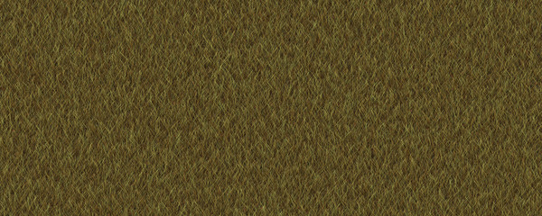 Fototapeta na wymiar Dry grass texture background