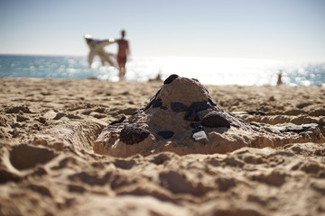 sandcastle on beach