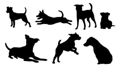 Jack Russel Terrier Icons - obrazy, fototapety, plakaty
