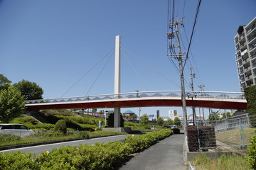 幹線道路　道路　車道　横断歩道橋　橋　歩道橋