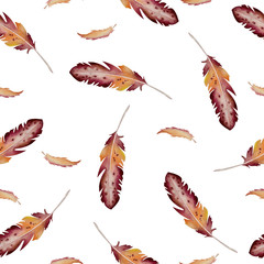 Watercolor pattern seamless with a bright feathers. Pattern of beautiful bird feathers. Hand drawn illustration. Wallpaper, fabric design, isolated on white background.