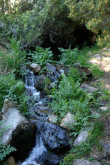 Stream flowing down the mountain