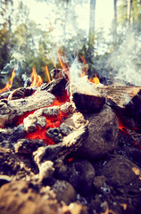 fire in fireplace