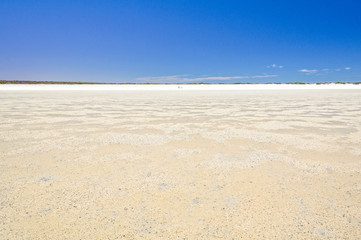 Fototapeta na wymiar No sand just shells stretching for over 70 kilometres - Denham, WA, Australia
