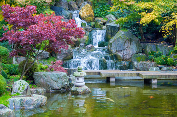 Japanese garden with lakelet in London, with colorful treetops and waterfall.