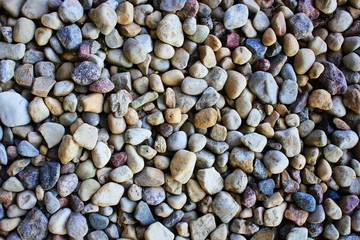 Pebble abstract background with dry round reeble stones
