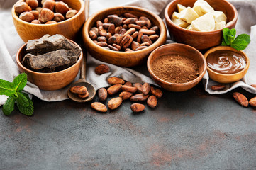 Cocoa beans, butter and chocolate