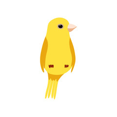 Little Canary Bird, Cute Yellow Budgie Home Pet Vector Illustration