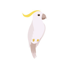 Little Cockatoo Bird, Cute Birdie Home Pet Vector Illustration
