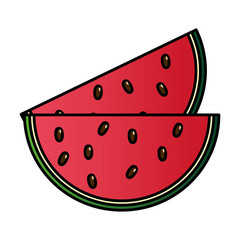 slice watermelon fruit on white background