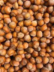 hazelnuts on wooden background