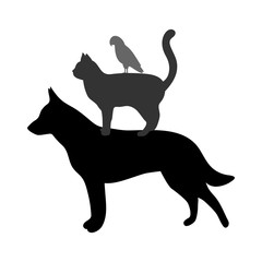 silhouettes of dogs, cats and birds on a white background.